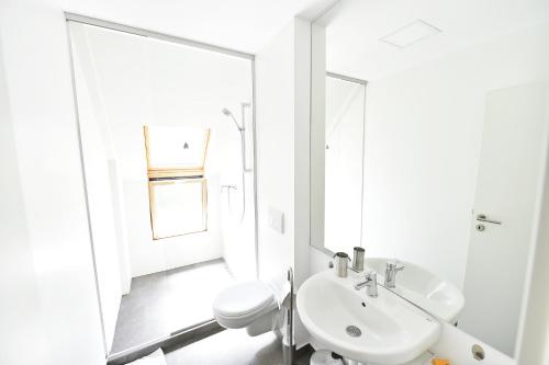 a white bathroom with a sink and a toilet at Pensiunea Atra Doftana in Teşila