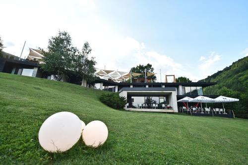 two white eggs sitting on the grass in front of a house at Pensiunea Atra Doftana in Teşila