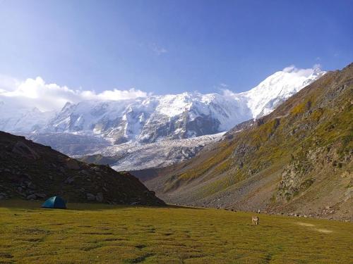 a tent in a field with mountains in the background at Rakaposhi Amin Hotel & Restaurant Pissan Hunza Nagar Gilgit Baltistan in Gilgit