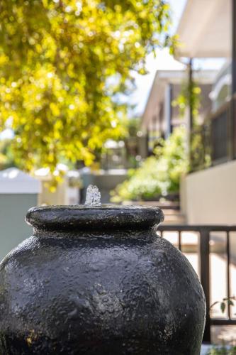 Φωτογραφία από το άλμπουμ του Protea Hotel by Marriott Franschhoek σε Franschhoek