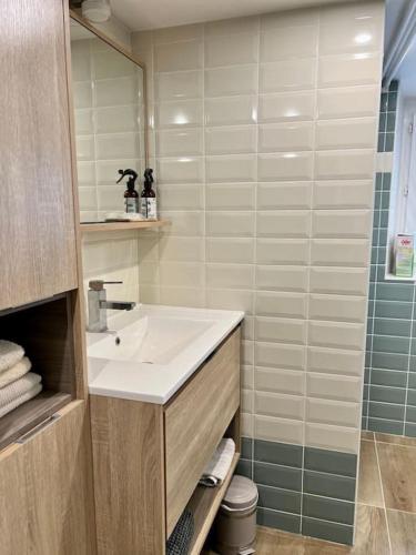 une salle de bain avec un lavabo et une douche dans l'établissement Bucolique Rez-de-jardin, 4 pers, proche Disney, à Thorigny-sur-Marne