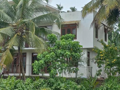 a white building with palm trees in front of it at Villa paddy feild in Hiripitiya