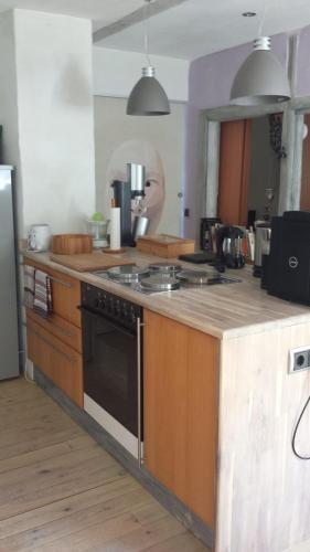 a kitchen with a counter with a stove top oven at Holzwerk Oybin in Kurort Oybin