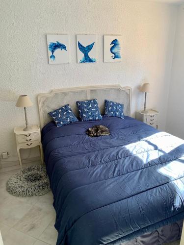 - un chat dormant sur un lit bleu dans une chambre dans l'établissement Appartement RDC très grande terrasse proche mer et centre ville, à Cavalaire-sur-Mer