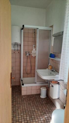 a bathroom with a shower and a sink at Gemütliche Ferienwohnung am Wildgehege in Walsrode