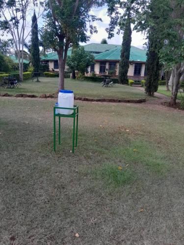 a green table with a appliance on it in a yard at TROTTERS B&B KENOL in Gitura