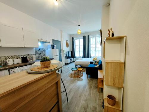 Il comprend une cuisine et un salon avec un réfrigérateur. dans l'établissement Paris I - Séjour à Auxerre, à Auxerre