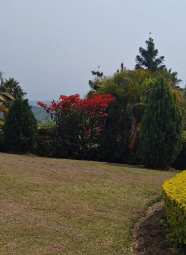 un parque con flores y árboles al fondo en Heritage Hotel Rukungiri, en Rukungiri