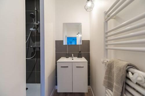 uma casa de banho com um lavatório branco e um espelho. em Appartement au cœur de Saint-Brieuc em Saint-Brieuc
