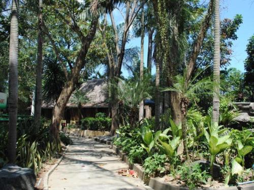 TikayにあるDJ Paradise Hotelの椰子の木が茂るトロピカルガーデンを通る小道