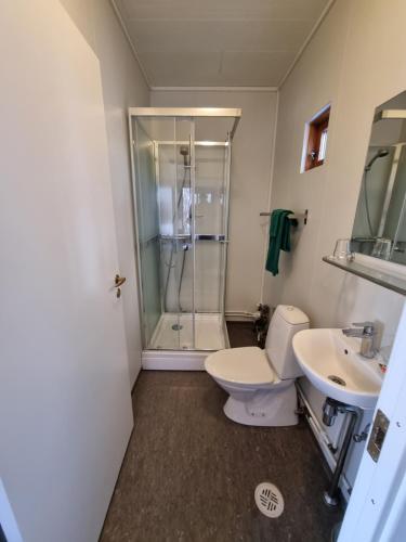 a bathroom with a shower and a toilet and a sink at Guesthouse Pétursborg in Akureyri