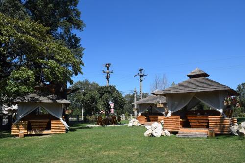 a group of stuffed animals laying on the grass at Micul Castel in Bran