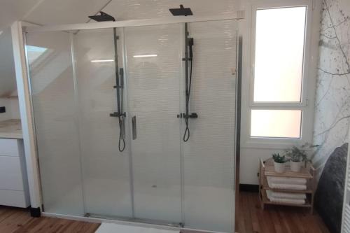 La salle de bains est pourvue d'une douche en verre et d'une fenêtre. dans l'établissement La maison des gaves - Calme, Agréable, Local vélo, à Pierrefitte-Nestalas