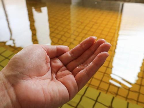 a person holding their hand up in a room at Hotel New Otsuka in Shirako