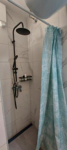 a shower with a shower curtain in a bathroom at Apartma Gaber 110 in Zreče