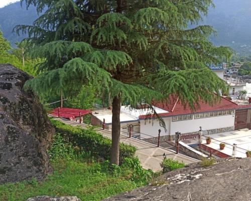 a view of a town with a tree and buildings at Mashoo Resorts , Bhuntar in Shamshi