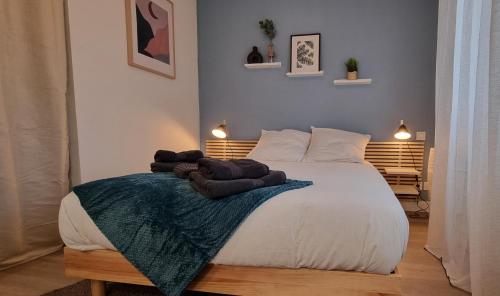 Un pat sau paturi într-o cameră la T2 quartier Mermoz, 2 places de parking privées