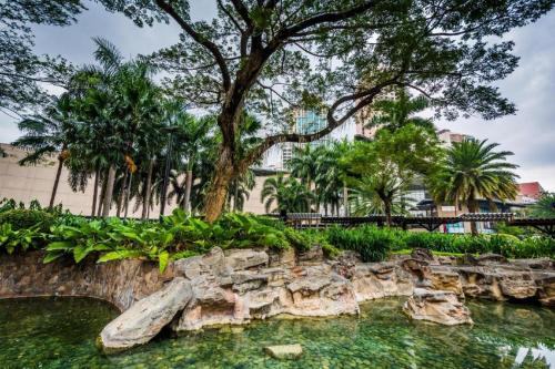 un parque con un árbol y una piscina de agua en Hotel Sogo Roxas Blvd., en Manila