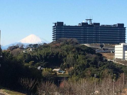 a mountain in front of a large building and a building at KEIKYU EX INN Yokosuka Research Park in Kubiri