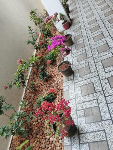 a garden with flowers in pots on a sidewalk at ANNAI RESIDENCY in Vellore