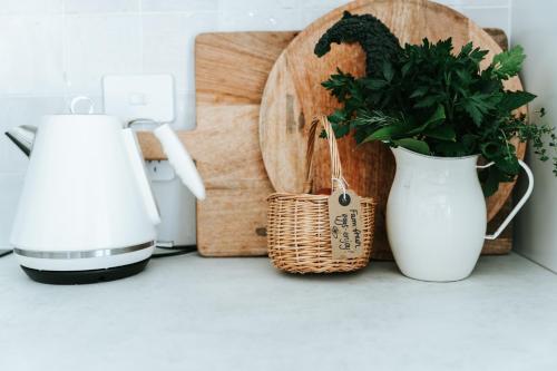 a white vase with a plant in it next to a blender at Kookaburra Cottage - 10 minutes from Mount Gambier CBD in Yahl