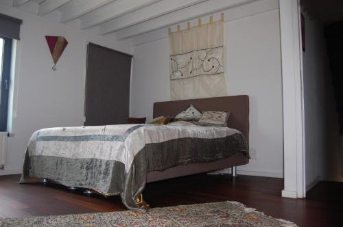 a bedroom with a bed with a blanket and a rug at Bvba Bacana in Rotselaar