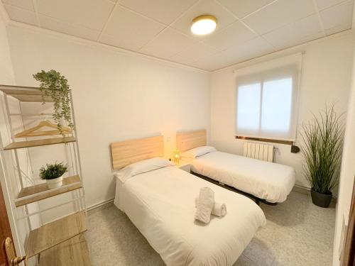 Cette chambre comprend 2 lits et une fenêtre. dans l'établissement La Paloma del Pilar ComoTuCasa, à Saragosse