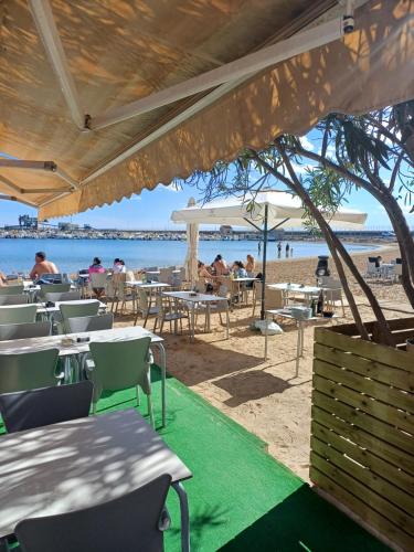 Torrevieja studio Playa del Acequion