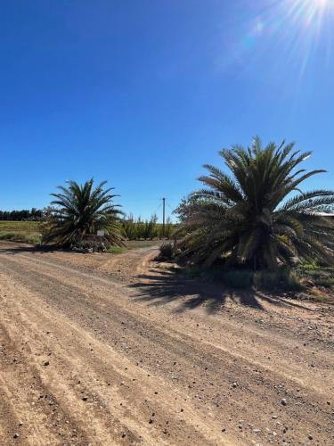 a dirt road with two palm trees on it at Harmonie in Prieska