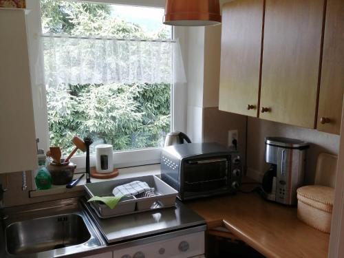 eine Küche mit Mikrowelle, Spüle und Fenster in der Unterkunft Ferienwohnung Gruberhörndlblick in Inzell