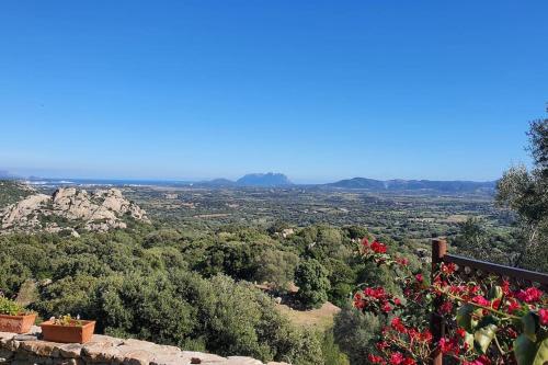 a view of a valley with mountains and red flowers at Belvedere Country House in Enas