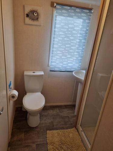 a bathroom with a toilet and a sink at Tattershall Lakes, Castle View in Tattershall