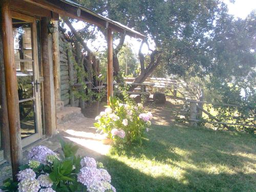 a garden with a bunch of flowers in the grass at Cabañas Quillay Viejo in Lago Rapel