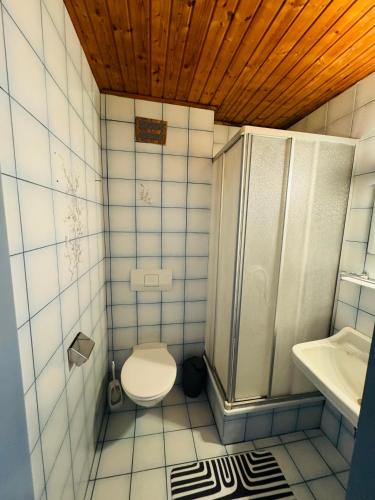 La petite salle de bains est pourvue d'une douche et de toilettes. dans l'établissement Guesthouse-Mother, à Sankt Kanzian