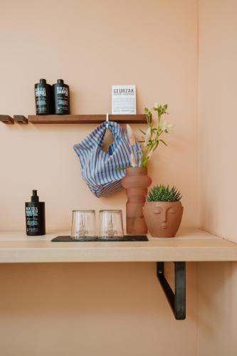 a shelf with vases and plants on it at HEI15 in Sint Geertruid