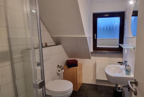 een badkamer met een toilet, een wastafel en een raam bij Ferienwohnung Parkblick in Bad Berleburg