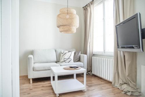 Una sala de estar con un sofá y un televisor en A cosy studio apartment in the heart of Tallinn, en Tallin