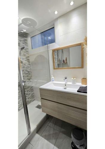 a bathroom with a shower and a white sink at Superbe T3 cosy, parking gratuit + balcon in Riom