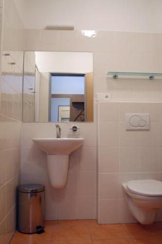 a bathroom with a sink and a toilet at Sport Hotel Ticha Orlice in Ústí nad Orlicí