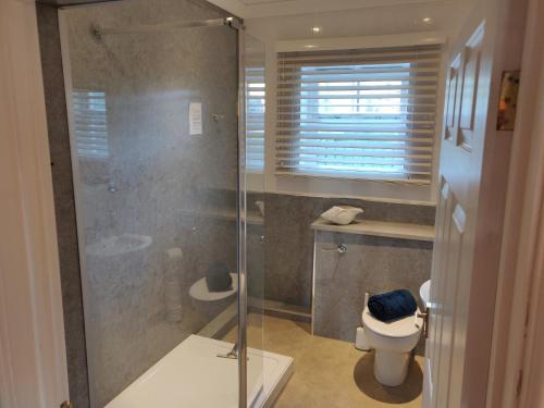 uma casa de banho com um chuveiro e um WC. em Weavers Cottage em Haverfordwest
