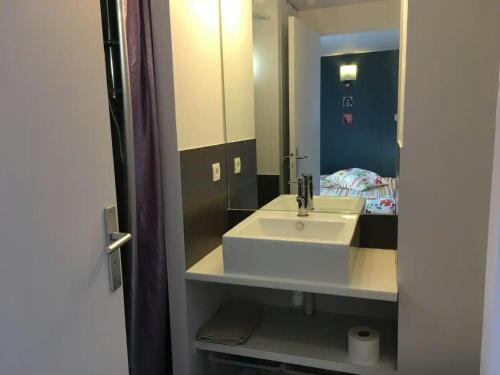 ein Bad mit einem Waschbecken, einem Spiegel und einem Bett in der Unterkunft Rooftop terrasse 360° hypercentre in Toulouse