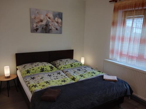 Postel nebo postele na pokoji v ubytování Apartmany Judita Kissová