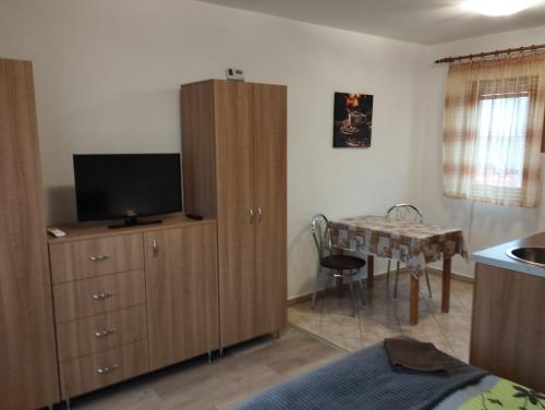 TV a/nebo společenská místnost v ubytování Apartmany Judita Kissová