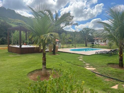 uma palmeira num quintal com piscina em Paraíso Capitólio "A Pousada da Dona Perpetua" em Capitólio