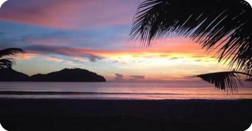 een zonsondergang op het strand met een palmboom bij Casa aconchegante em frente a praia in Ubatuba