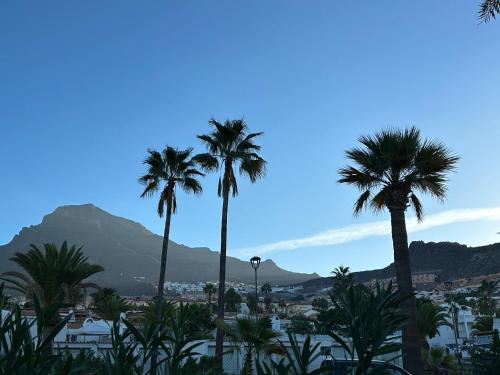 eine Gruppe von Palmen mit einem Berg im Hintergrund in der Unterkunft Tenerife Holidays in Adeje