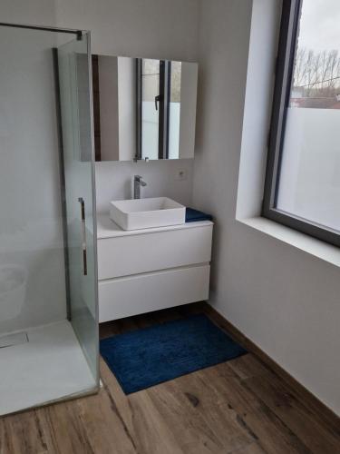 a bathroom with a sink and a mirror at Volledige gezinswoning te huur in Mechelen