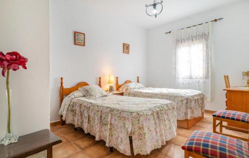 a bedroom with two beds and a window at Amazing Home In Sedella With House A Panoramic View in Sedella