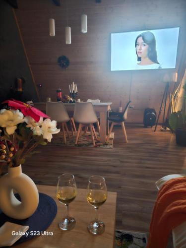 Televisyen dan/atau pusat hiburan di Cabana Apuseni Forest