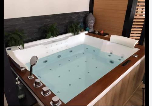 uma banheira de hidromassagem no meio de um quarto em L’atelier spa em Codognan